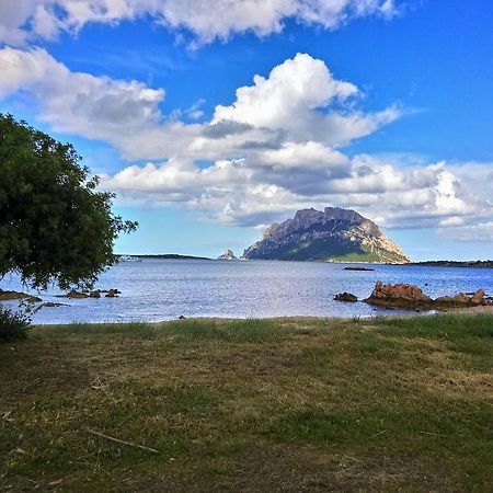 Villa Raffaello Porto San Paolo  Dış mekan fotoğraf
