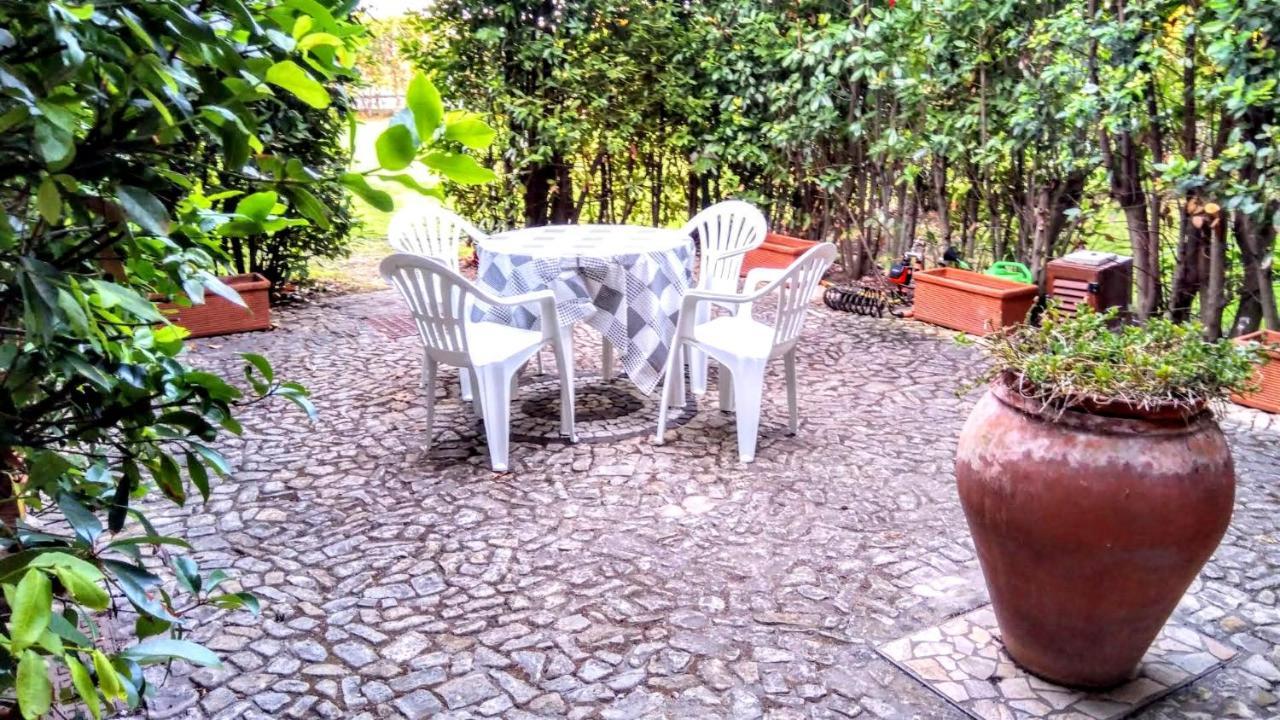 Villa Raffaello Porto San Paolo  Dış mekan fotoğraf