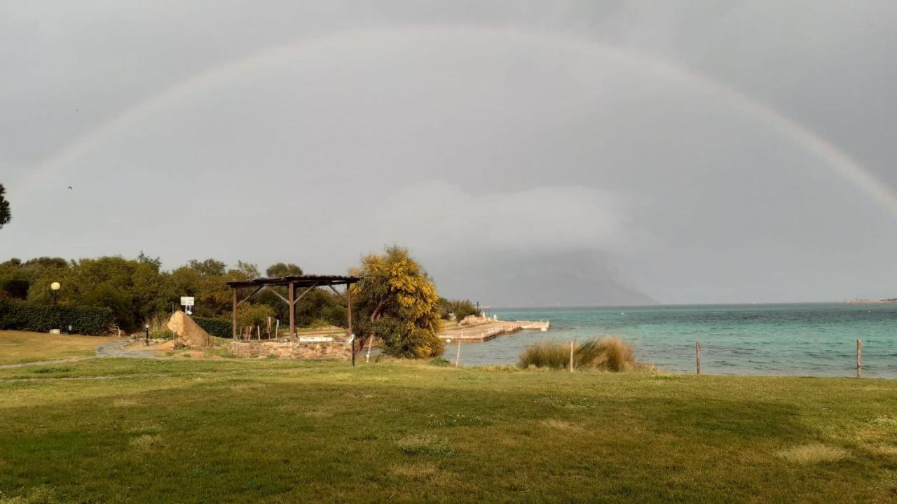 Villa Raffaello Porto San Paolo  Dış mekan fotoğraf