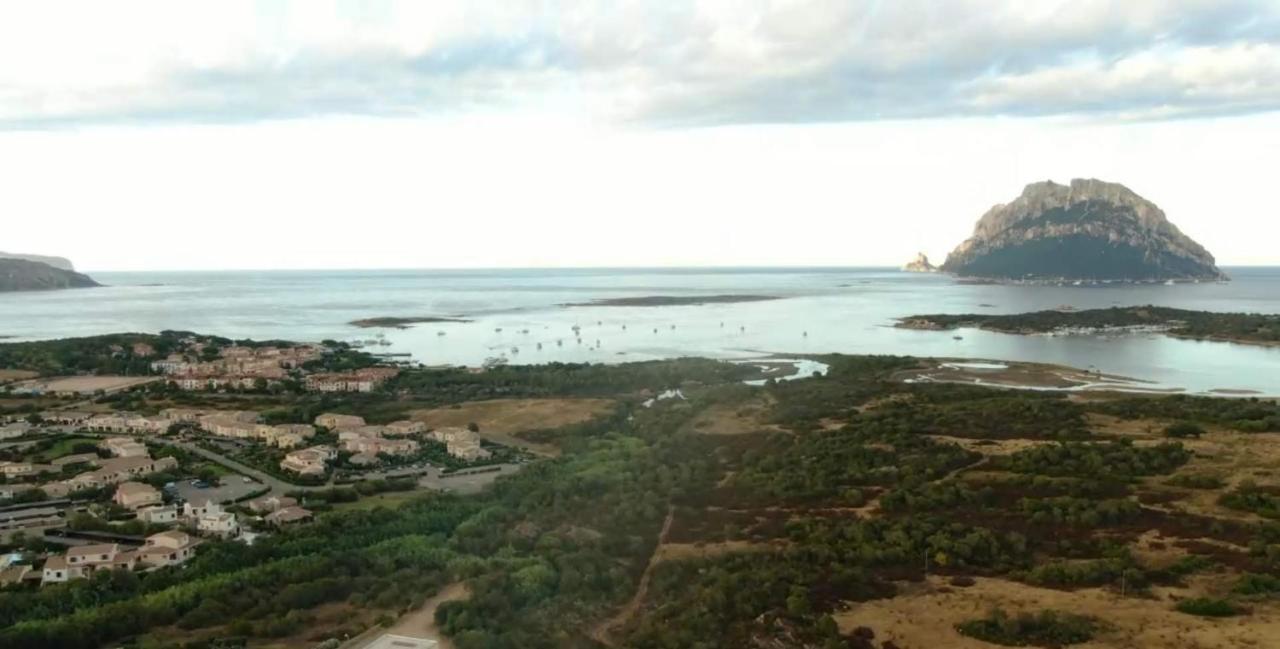 Villa Raffaello Porto San Paolo  Dış mekan fotoğraf