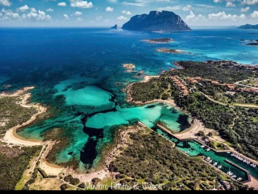 Villa Raffaello Porto San Paolo  Dış mekan fotoğraf