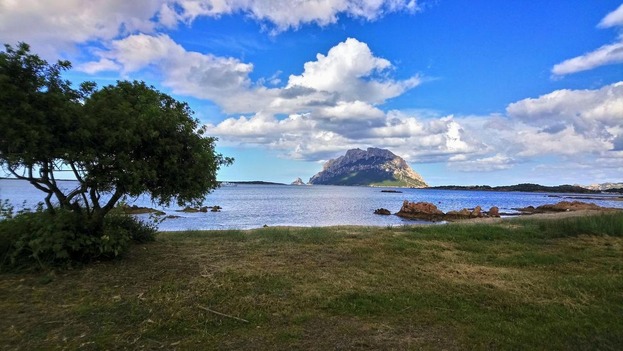 Villa Raffaello Porto San Paolo  Dış mekan fotoğraf
